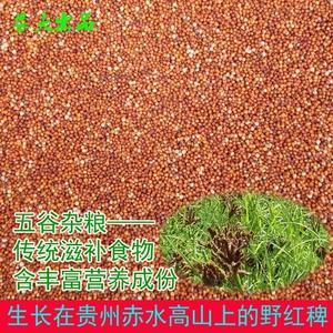 贵州赤水特产野红稗米散装小米杂粮鸡爪粟月子营养五谷杂粮500克