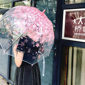 抗风款女生樱花长柄透明伞透明雨伞复古糖果色小清新阿波罗公主伞