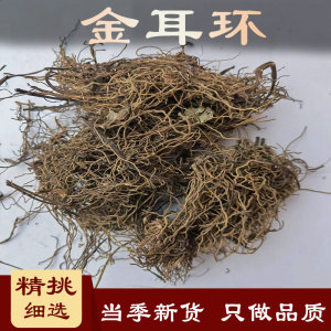 金耳环 中药材 马蹄细辛  一块瓦  小犁头  马兜铃科 中草药