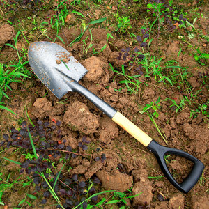 不锈钢花铲园林庭院工具挖土铲园艺铁锹家用儿童户外种树挖沙锰钢