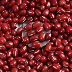 21年新红豆3斤  中粒红小豆  椭圆粒红豆 非赤小豆 软糯易出沙