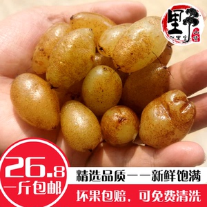 野生新鲜石黄皮肾蕨马骝卵凤凰蛋化狗儿蜈蚣草煮水煲汤500g包邮