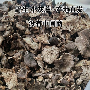 小灰蘑 承德东北野生小灰蘑 小灰蘑菇野生 农家天然晒干250g包邮