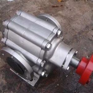 304材质不锈钢齿轮泵ZYB-300高温渣油泵豆渣泵菜籽油泵头