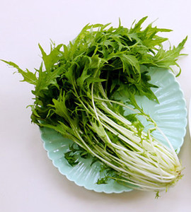 京水菜