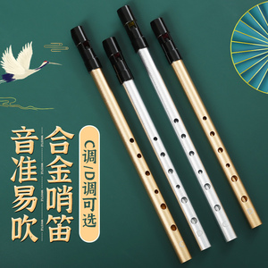 爱尔兰哨笛c调d调金属笛子儿童入门小学生6孔竖笛初学者专用直笛