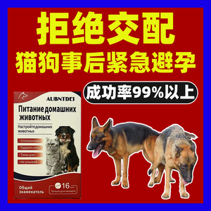 宠物避孕母猫母狗事后紧急避孕药长效抑制发情片土狗流浪狗通用