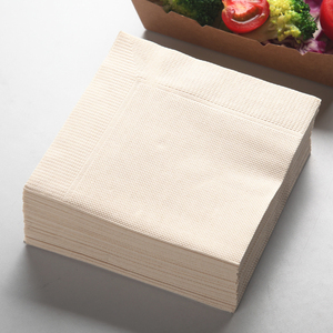 270mm一次性本色原浆餐巾纸餐饮纸巾 双层方形餐巾纸可定制50张