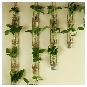 水培花瓶墙壁挂墙上玻璃透明创意室内植物水养绿萝悬挂式小插花盆