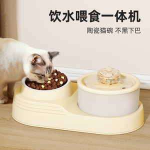 猫碗狗碗猫食盆猫咪自动饮水喂食一体机斜口陶瓷高脚水碗宠物用品
