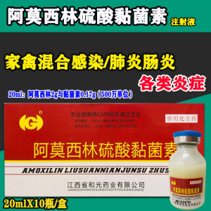 兽药兽用阿莫西林硫酸黏菌素注射 液猪牛羊肠炎拉稀肺炎支原特效