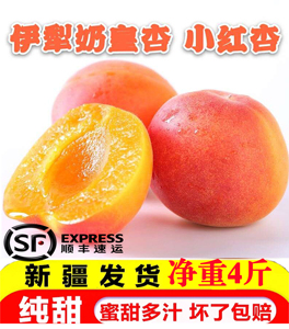 新疆伊犁树上奶皇杏小红杏 新鲜孕妇水果净重4斤顺丰包邮杏子
