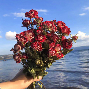 干花花束客厅摆设真花风干天然简约风高级感蔷薇泡泡多头小玫瑰花