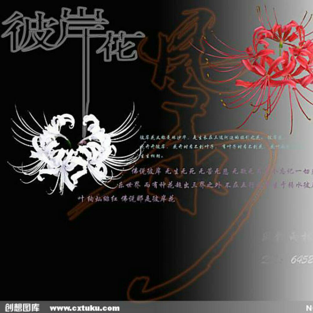 彼岸花潮流女装服饰店