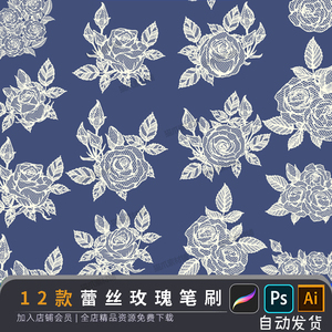 procreate笔刷玫瑰蕾丝纹身刺青丝袜图案ipad手绘服装婚纱素材