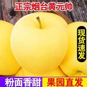 黄元帅苹果新鲜水果黄金帅粉苹果黄香蕉整箱2斤正宗烟台苹果包邮