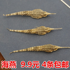 包邮海燕海鲜干货 北海料 海麻雀海雀飞海燕5克4条