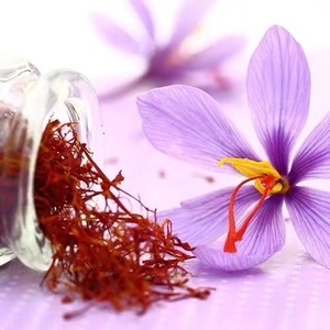 红色金子希腊krokos kozanis科扎尼西红花藏红花欧盟有机特级授权