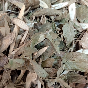 中药材 汉桃叶 又名广西鹅掌柴 七叶莲 七多茎和叶晒干货切片一斤