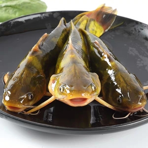黄辣丁鱼包邮