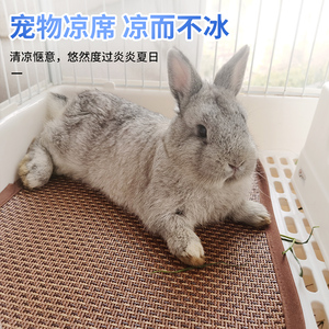 兔兔垫子夏季散热板宠物兔子仓鼠龙猫凉席冰垫凉而不冰消暑用品