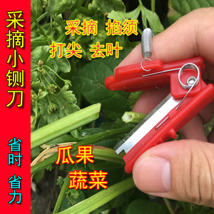 采摘小铡刀手戒指摘菜神器蔬果黄瓜辣椒豆角葡萄掐须打尖打岔去叶