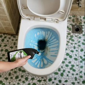 酒店专用洁厕剂