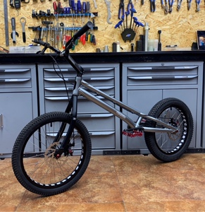 echo 20攀爬自行车