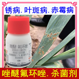 大蒜锈病专用药大葱洋葱黄疸红斑点铁锈病杀菌药小麦赤霉病杀菌剂