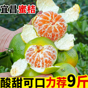 宜昌蜜桔青皮橘子新鲜甜蜜橘薄皮无籽绿皮桔子应季水果5斤9斤整箱