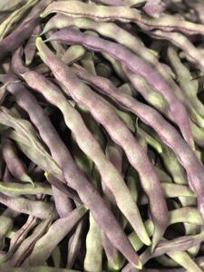 东北特产紫豆角农家自种紫芸豆新鲜蔬菜冻死鬼长扁豆5斤