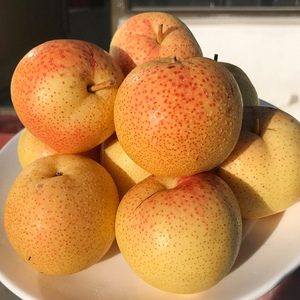 农家种植小雪花梨4斤密云本地脆甜多汁煮梨汤味浓孕妇水果