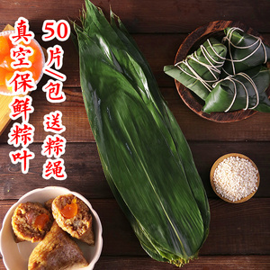 粽子叶 湿粽叶新鲜大粽叶棕叶野生纯天然大粽子叶真空包装叶50片
