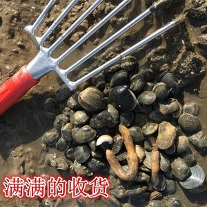 新海鲜蛏子耙子贝壳挖蛤神器不锈钢蛤蜊蚬子螺沙滩赶海工具小耙子