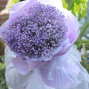 蓝色满天星大花束  云南基地直发毕业季送女朋友闺蜜同学生日礼物