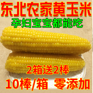 東北金黃糯玉米10支粘玉米棒甜苞米粒黑龍江農家速凍孕婦兒童郝鵬