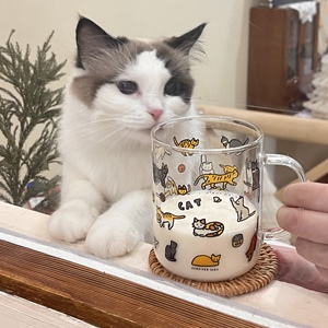 韩国设计师插画猫咪玻璃杯小众可爱卡通宠物猫喝水杯牛奶杯早餐杯