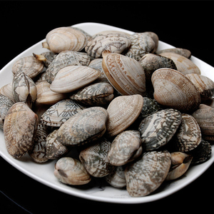 003人付款淘宝【大号蛤蜊】5斤33包邮新鲜无沙蛤蜊肉鲜活海鲜 花蛤蜊