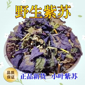 紫苏叶中药材广西野生紫苏叶中药新鲜食用干货泡脚去腥烧鱼虾调料