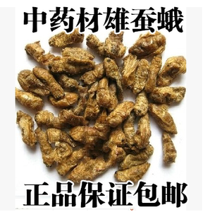 新货中药材雄蚕蛾未交配雄蚕蛾可泡酒原蚕蛾可磨粉蚕蛾 500克包邮