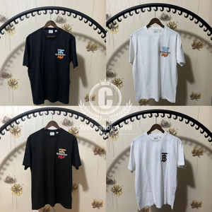 包冠希burberry博柏利彩虹黑白渐变tb大字母logo短袖圆领t恤tee