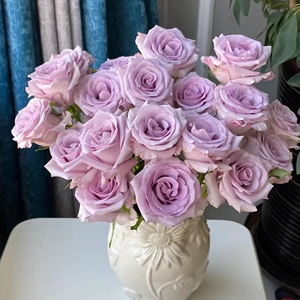 【海洋之歌玫瑰】高品质鲜切花室内水养云南鲜花基地直发