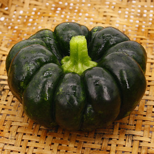 云南高山地老品种新鲜嫩南瓜蔬菜瓜果黑皮姜柄瓜农家姜饼5斤鲜嫩