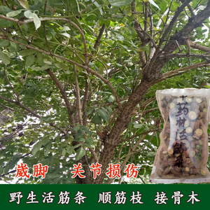 801人付款淘宝中药材接骨木 扦扦活 接骨风 接骨丹 续骨木 舒筋树实物