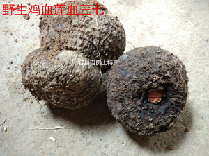 深山新鲜野生现挖薯莨薯良朱砂莲红药子鸡血莲血三七血莲5斤包邮