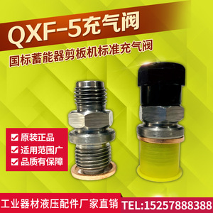 优质充气阀QXF-5剪板机蓄能器充气阀氮气单向阀液压补气阀气门嘴