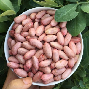 山东红皮花生米大粒生21年新花生米5斤新货生花生米10斤装鲁花地