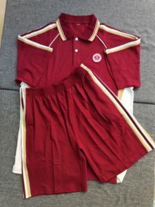 东莞东城东城中学新款夏装校服纯棉运动服特价包邮_阿里巴巴找货神器