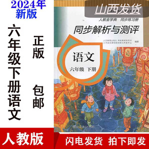 2024小学六年级下册语文同步解析与测评人教版6年级语文同步解析