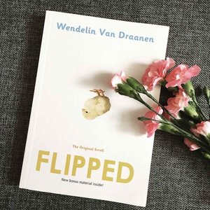 【欣依推荐】怦然心动中英双语版 共2册 lipped 美 文德琳范德拉安南